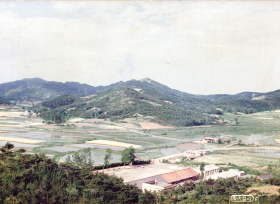 수몰전 삼호초등학교 미리보기 이미지