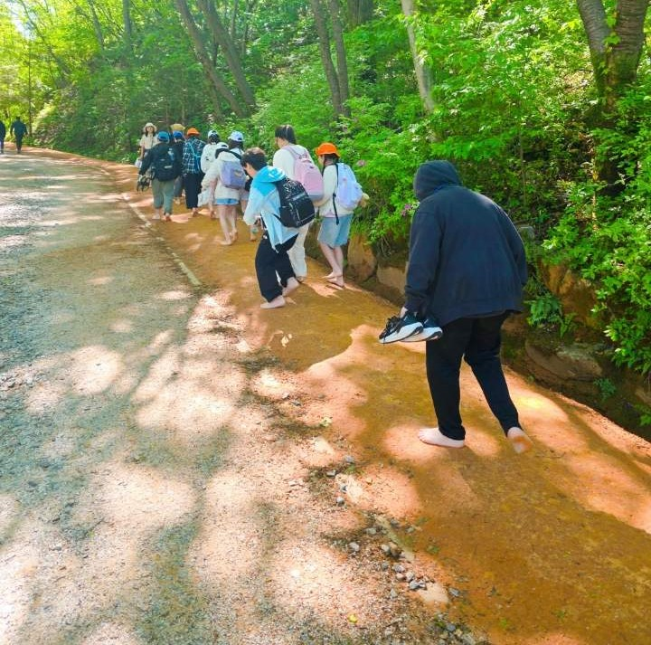 2025년 대덕구 생태탐방 프로그램 「덕구네 숲에서 놀자!」 미리보기 이미지