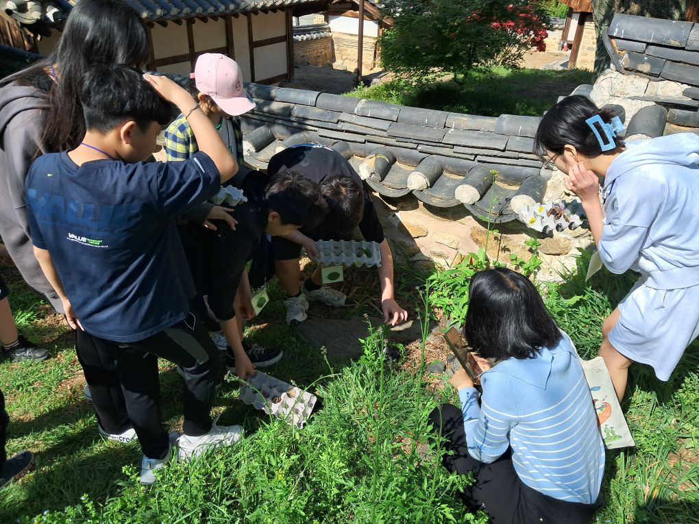 2025년 대덕구 생태탐방 프로그램 「덕구네 숲에서 놀자!」 이미지2