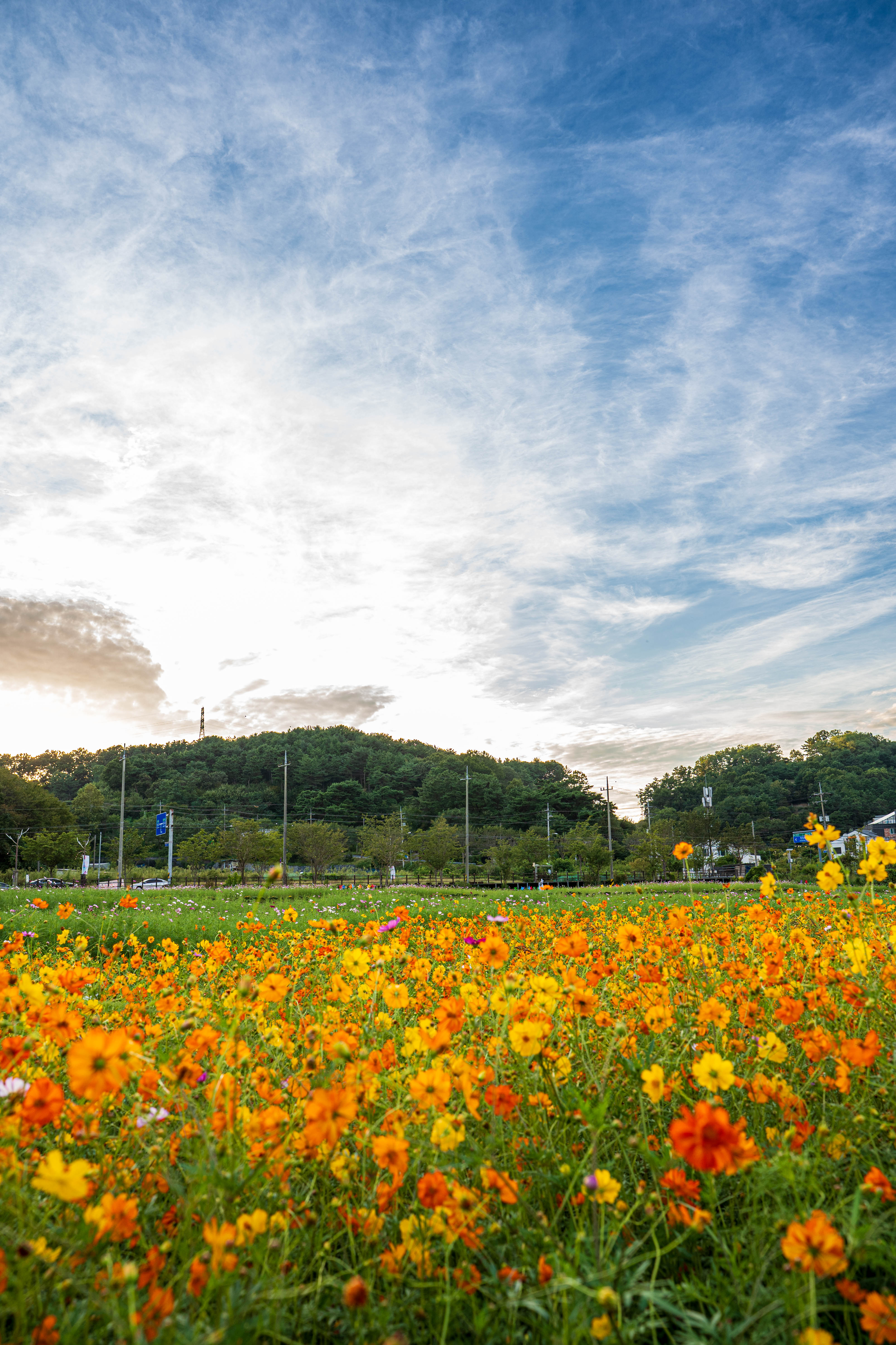 [입선] 장동의 가을 미리보기 이미지