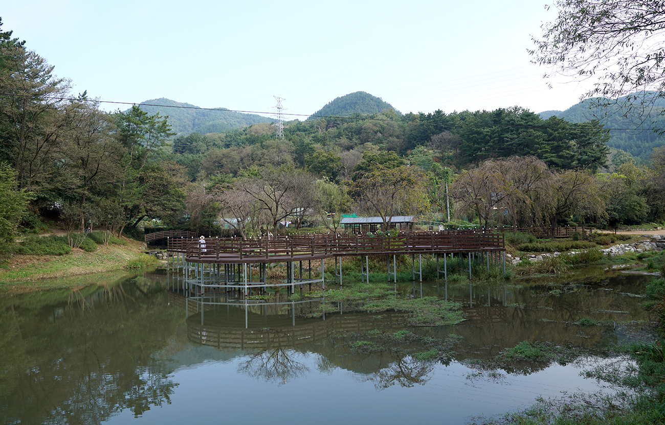 법동 소류지 이미지11