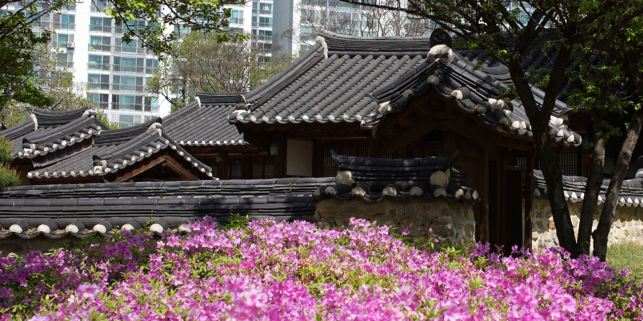 동춘당, 소대헌호연재 고택(송촌동) 미리보기 이미지