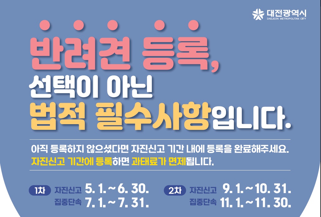 반려견 등록,
선택이 아닌 법적 필수사항입니다.