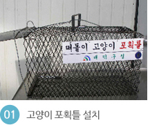 1. 고양이 포획틀 설치