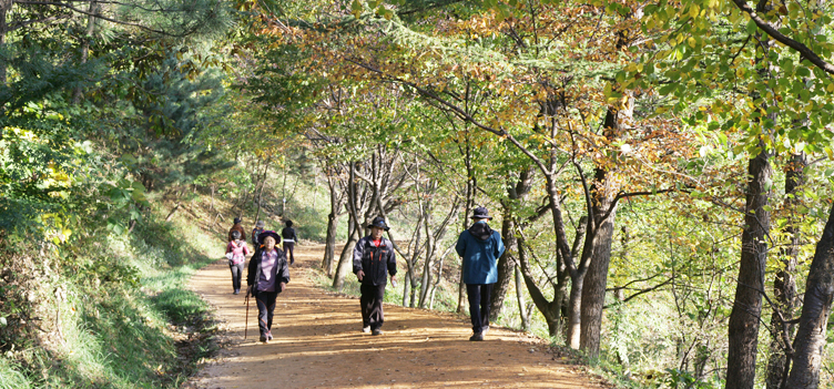 계족산황톳길