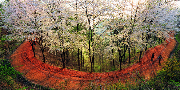 계족산_04