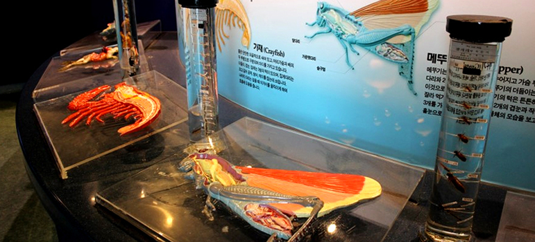 Daecheong Dam Aquatic Culture Exhibition Hall image4