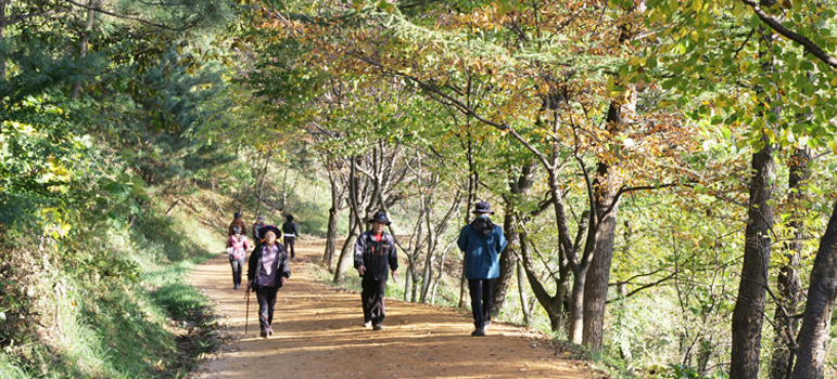 Gyejok Mt. Loess Trail image1