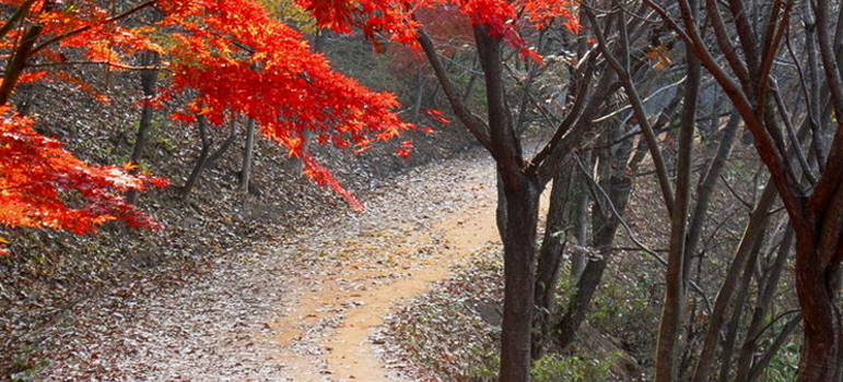 Gyejok Mt. Loess Trail image2