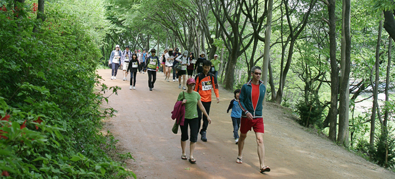 Gyejok Mt. Loess Trail image3