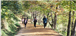 Gyejok Mt. Loess Trail image1
