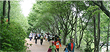 Gyejok Mt. Loess Trail image3