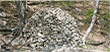 Sandi Village image2