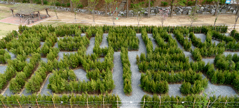 Park image2