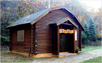 Photo - Library in the Forest